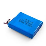 Custom 3.7V 2450 2600 3900 4000 4500 4700 5000 6000 9000Mah Polymer Lipo Battery